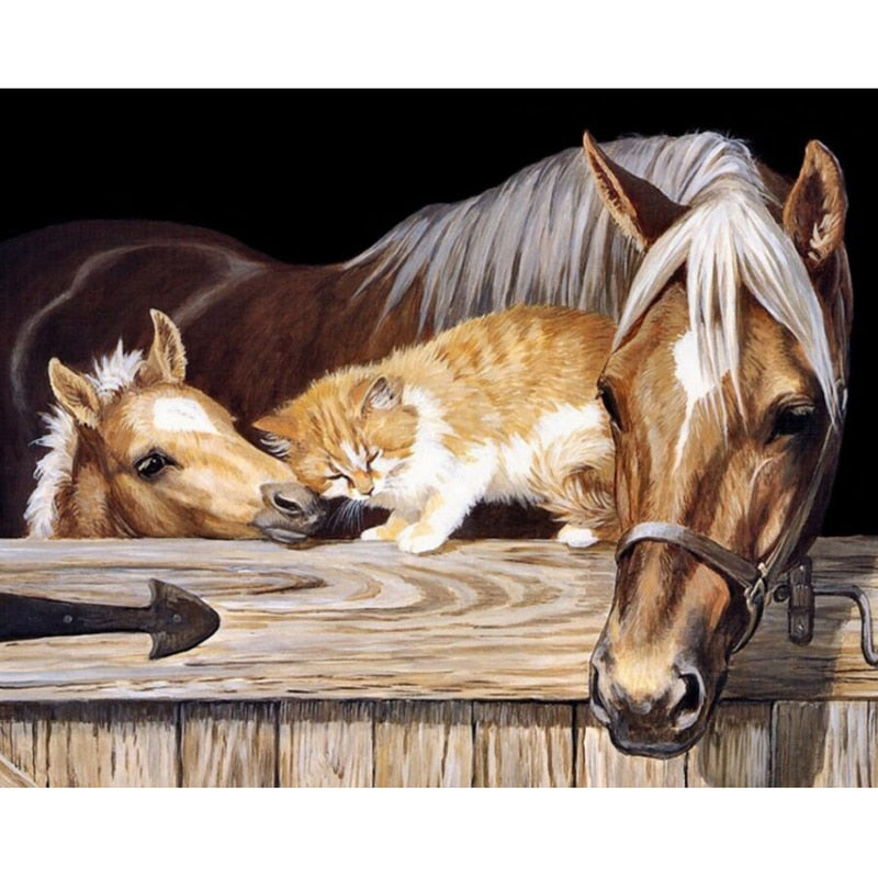 Full 5D Daimond Painting Horses&Cat