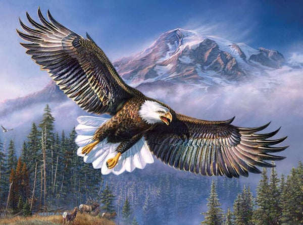 5D Diamond Painting Eagle in the Sky