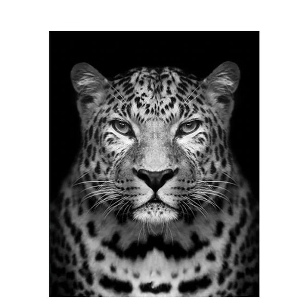 Frame Tigers Painting By Numbers Black White