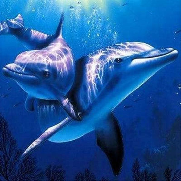 Oil Painting By Numbers Coloring Dolphin