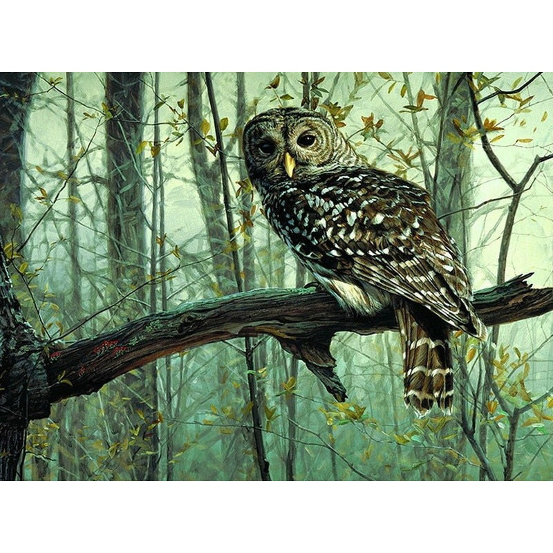 Frameless Painting By Numbers Owl Animals