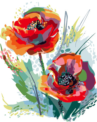 Framless Painting by Numbers Corn Poppy Flower