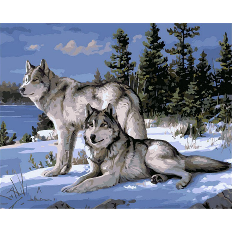 Wolf Pack On Winter Mountain