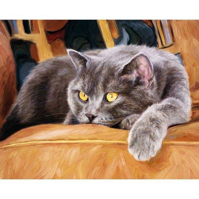 Frame Animals Cat Painting By Numbers