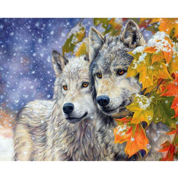 Frame Wolf Animals Painting By Number