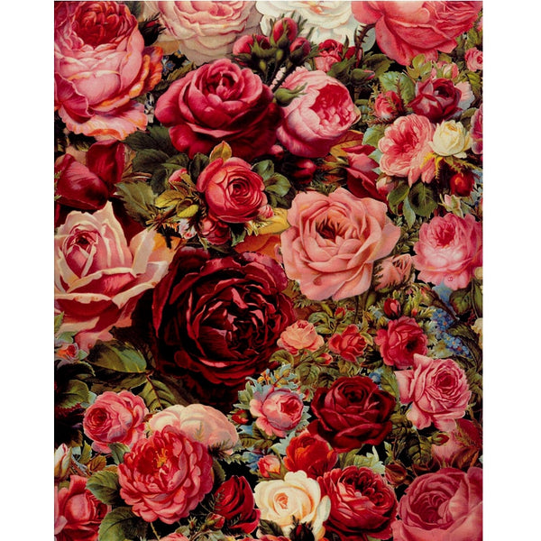 Roses Painting by Numbers