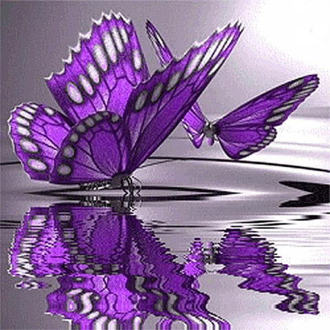 Full Square 5D Diamond Painting "Butterfly Point Water"